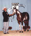 Yearling Picture