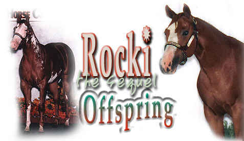 Rocki the Sequel Offspring